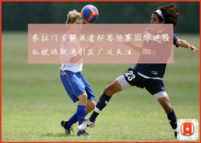 弗拉门戈解放者杯客场赛因球迷骚乱被迫取消引发广泛关注